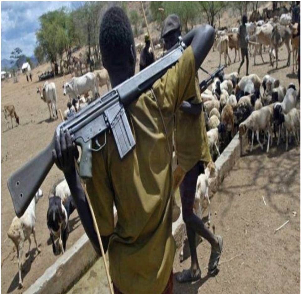 pherygetmore's tweet photo. #buhari &amp; Nig PRESIDENCY said bokoharam is fighting for islamic state wit bombs and AK47 not terrorist.so funny !  #IPOBAreNotTerrorist https://t.co/t8meKueBih