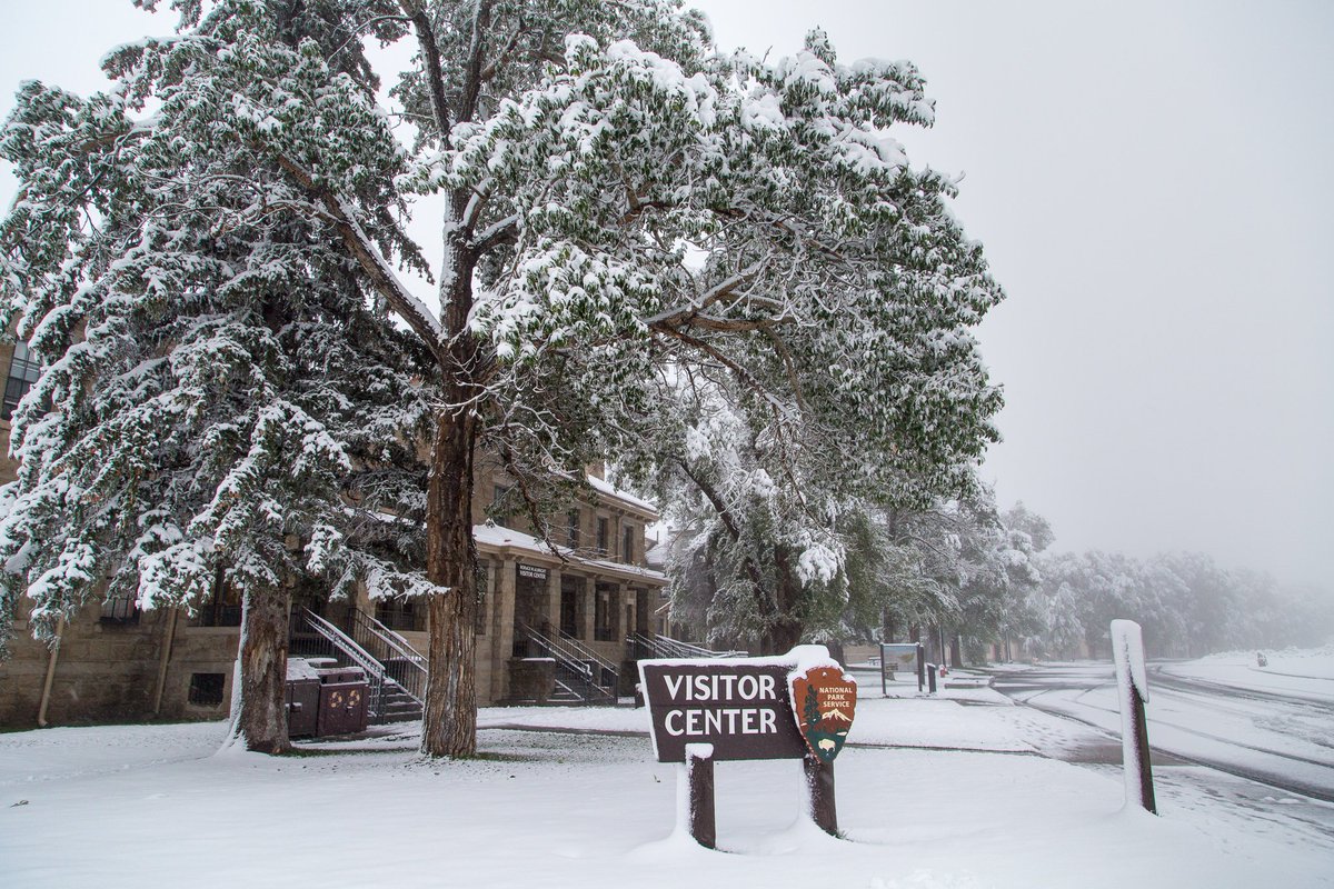Yellowstone National Park tweet media