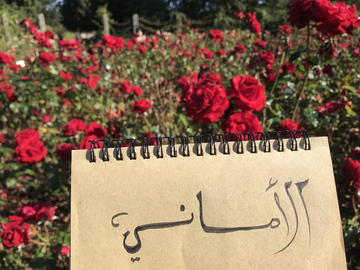 _3maniii's tweet photo. #Queen_Mary’s_Gardens 
#Regent’s_park 
#London🇬🇧 https://t.co/54zAZDnzla