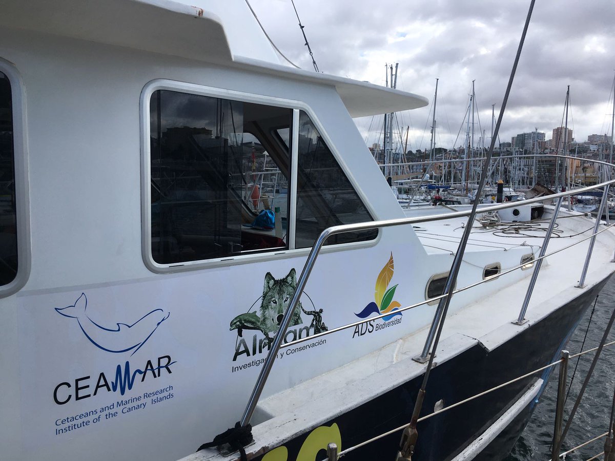 CeamarCanarias's tweet photo. Programas de seguimiento de cetáceos tortugas y aves marinas #MisticSeasII
#UTE_CEAMAR_ALNILAM_ADS
@FBiodiversidad @CeamarCanarias @ADS_Bio https://t.co/1fYad4IcfE