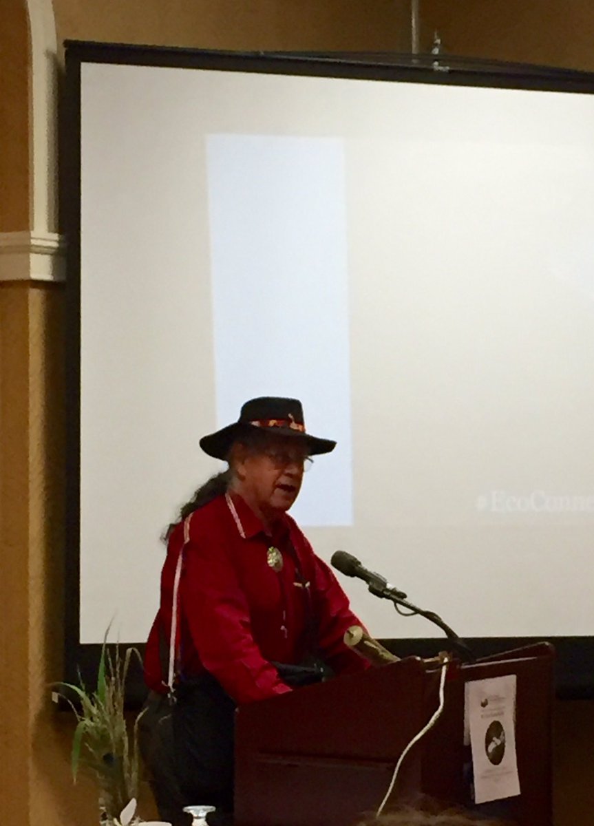 Revered Mi'kmaq Elder Albert Marshall reminds us that Mother Nature has rights & we have responsibilities #TwoEyedSeeing #ecoconnectsNS