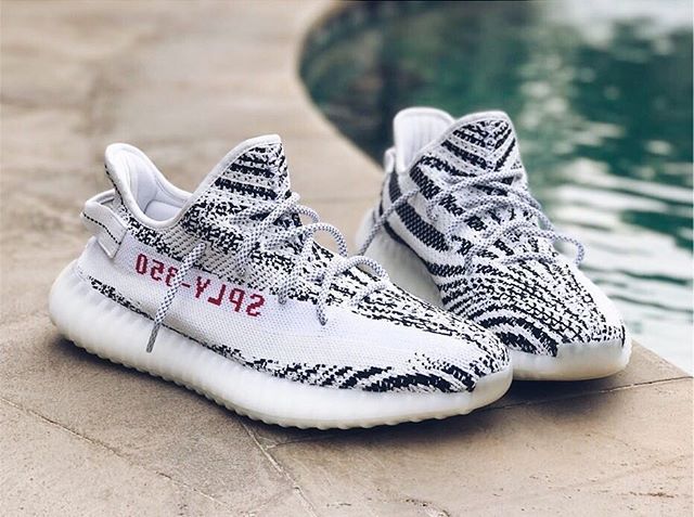 yeezy zebra shoelaces