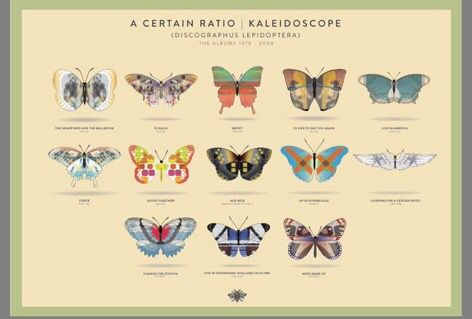 RETWEET TO WIN | A signed copy of ACR butterfly discography print. ONLY 100 MADE Winner picked October 1st 
buff.ly/2wbpfo6