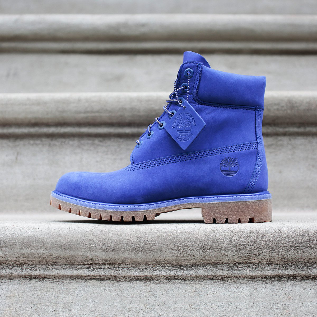 violet haze timberland