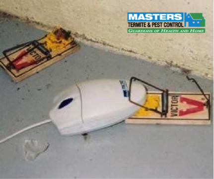 masters_pest's tweet image. The original mousetrap. Get it? #PestHumor