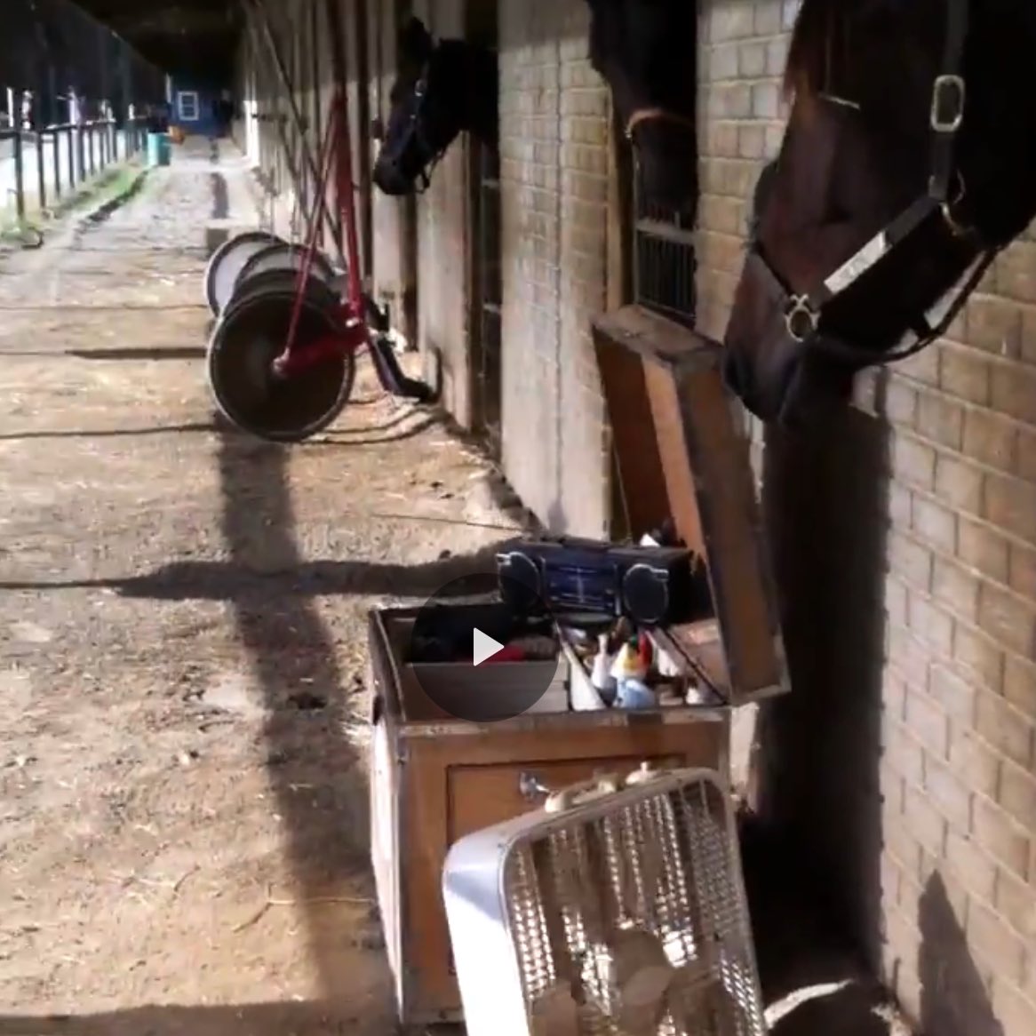 musicalhossgal's tweet photo. @vnssa926 @hoosiernations @HeatherBVitale @Healinwaters11 @rebelsart @racing_fillies @blongphee67 @Dbass22 Good morning harness racing friends, what's the news today? #checkemup #harnessracing #trackkitchen https://t.co/OFGf8XE4nL