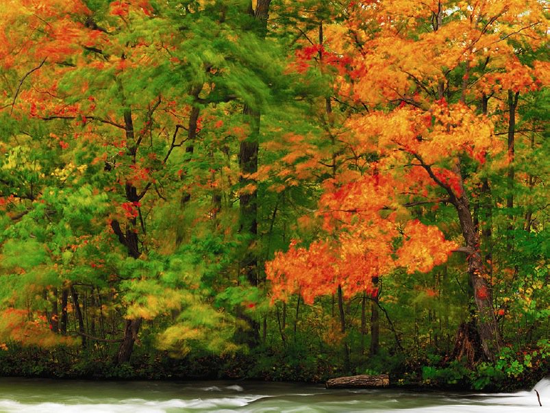 RotellaGallery's tweet photo. First Day of Fall!
'Leaves, Water, and Wind' by #RobertRotella
#RotellaGallery #fall #autumn #autumnequinox #photography #fineartphotography https://t.co/8BkjT0KjjK