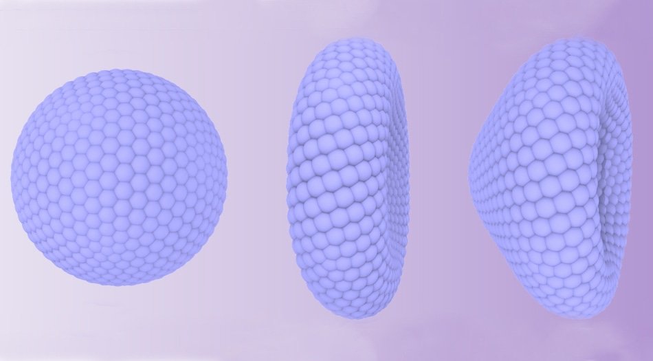 NANONETorg's tweet photo. Indiana University Receives $4 Million NSF Grant to Develop Medical Nanotechnology https://t.co/U7qfHIaUUt #nanotechnology https://t.co/ZxJ6CLEKzw