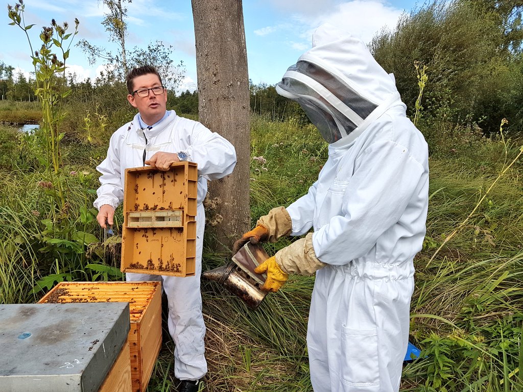 hostabee's tweet photo. 🐝@hostabee et  @French_TechSTQ retenues pour participer aux auditions du Labels des Territoires Innovants @INTERCOnnectes #intercoLABEL 😎 https://t.co/4gccPw1dKG