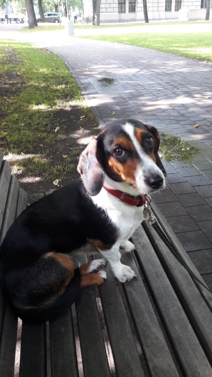 Anete Ašmane tweet media