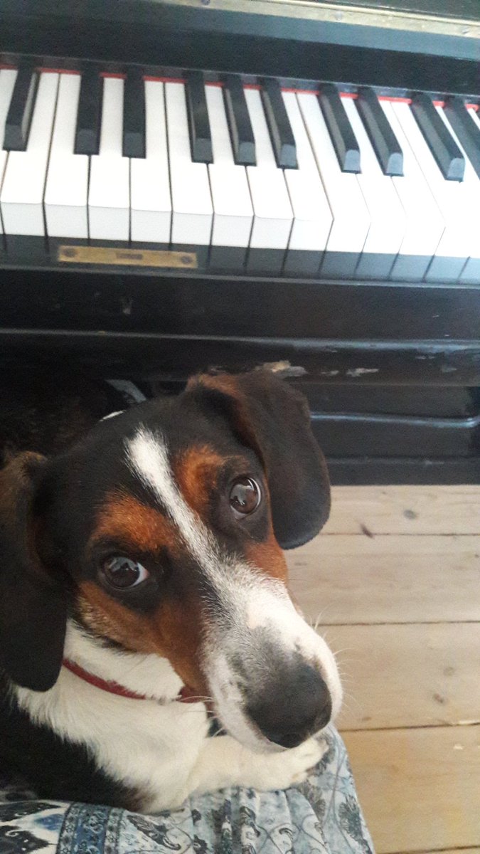 Anete Ašmane tweet media