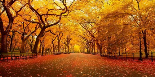 HIBR's tweet photo. Happy Fall Y'all! #FirstDayofFall https://t.co/gHMOq65UaA