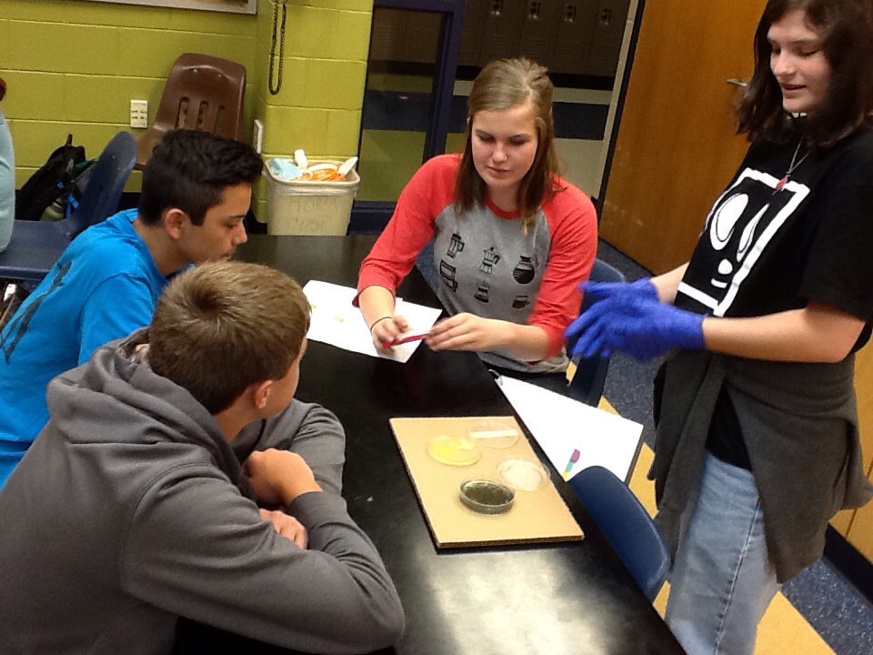 LINC5_LHS's tweet photo. Does copper prevent bacteria growth?#linc5 https://t.co/lZexyCD9Ce