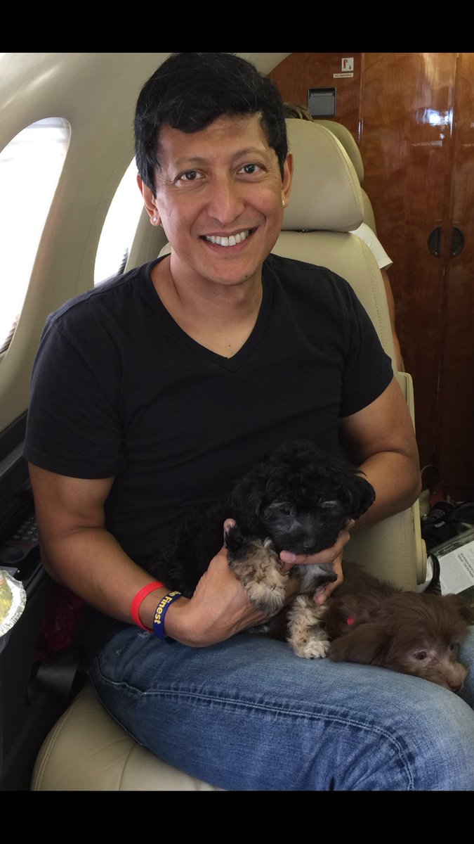 One benefit of flying private is being able to bring dogs. Unfortunately, Harper Lee and Teddy here are not mine...I wish!