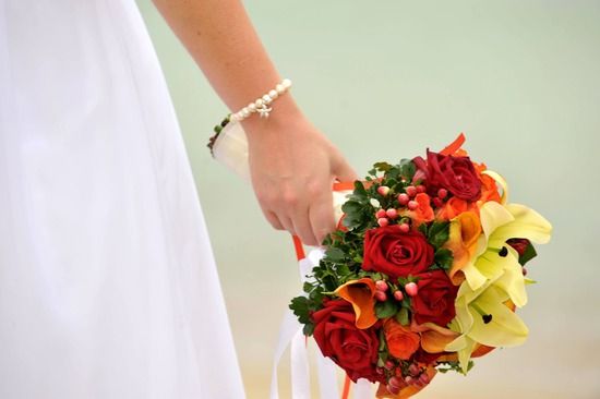 OneWed tweet media