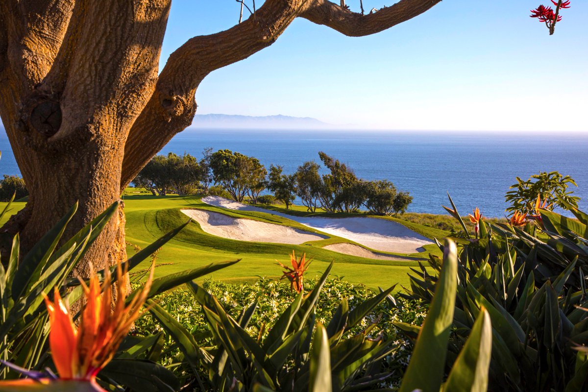 TrumpGolf's tweet image. Have you booked your weekend #TeeTime? Come play @TrumpGolfLA and take advantage of our $80 Sunset Rate: bit.ly/TrumpLATeeTime