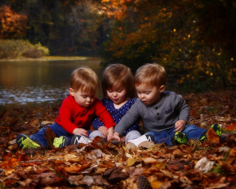 StatusImageFoto's tweet photo. Learn Stress Free Photography https://t.co/lZWVFPPuPC https://t.co/rsTVUBNdQq