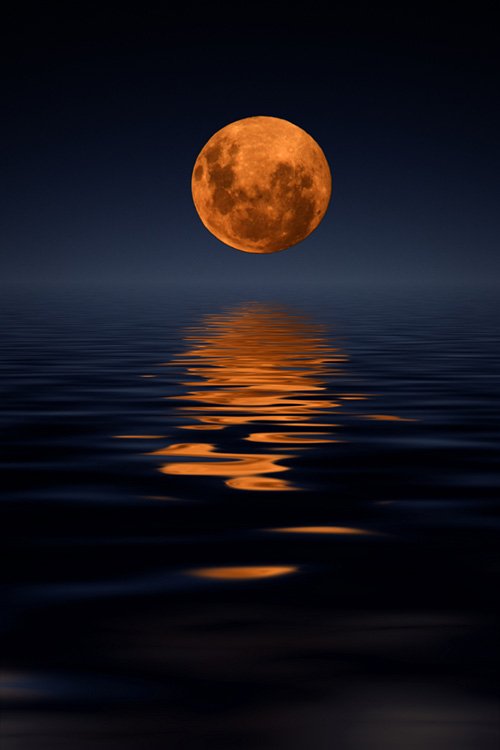 Make sure you catch a glimpse of the harvest moon tonight to celebrate the first day of fall!