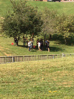 TSDMSVikings's tweet photo. Apple picking during Chat Time with Anni (math teacher) #ProudToBeTSD https://t.co/7bCM8l2qMS