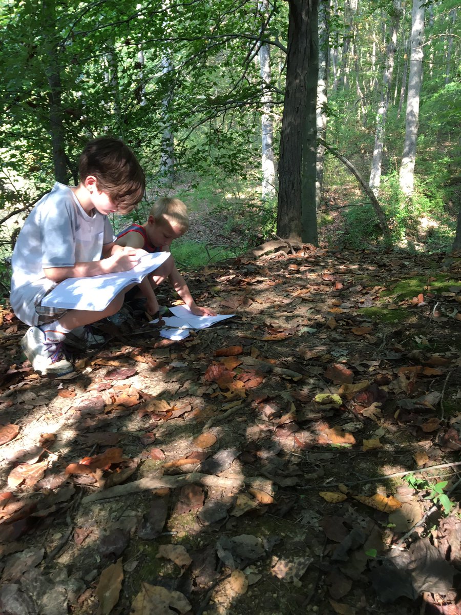 GibbyShane's tweet photo. Being stealthy as a fox allows for many observations in nature. With Ms. Cappy'e Class @UnionvilleES #FallenLog #BirdWatching @SycLandTrust https://t.co/aF6H5MIlXt