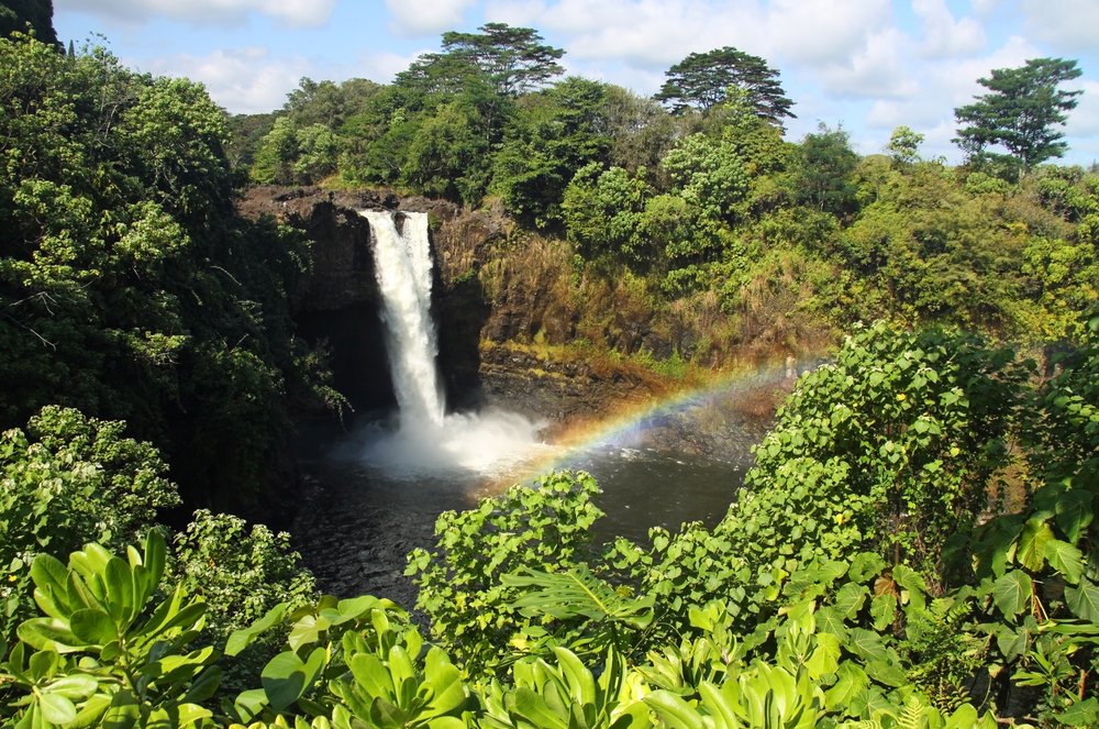 IslandPrincessHawaii tweet media