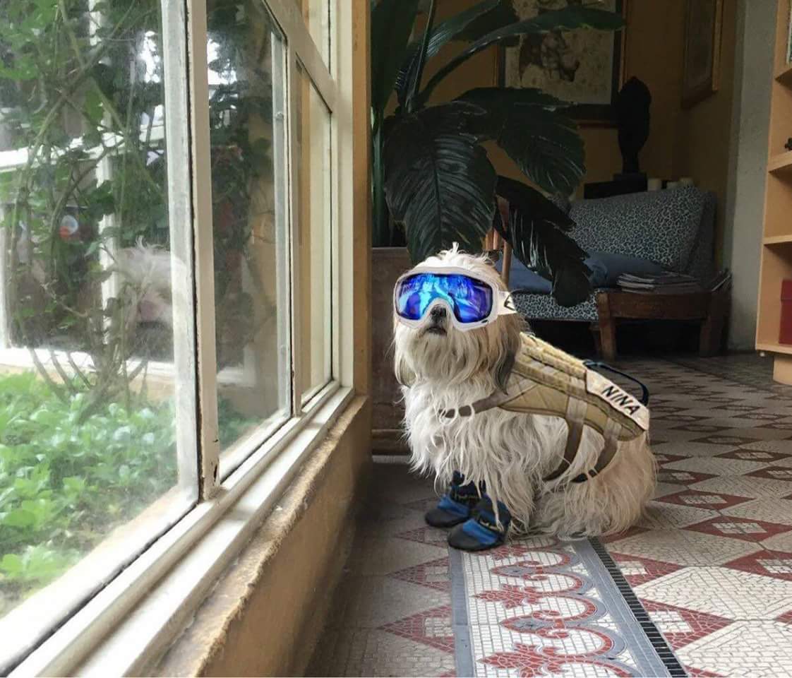 HuesitosDF's tweet photo. Cuándo tienes un héroe. https://t.co/7RFhXSbosa