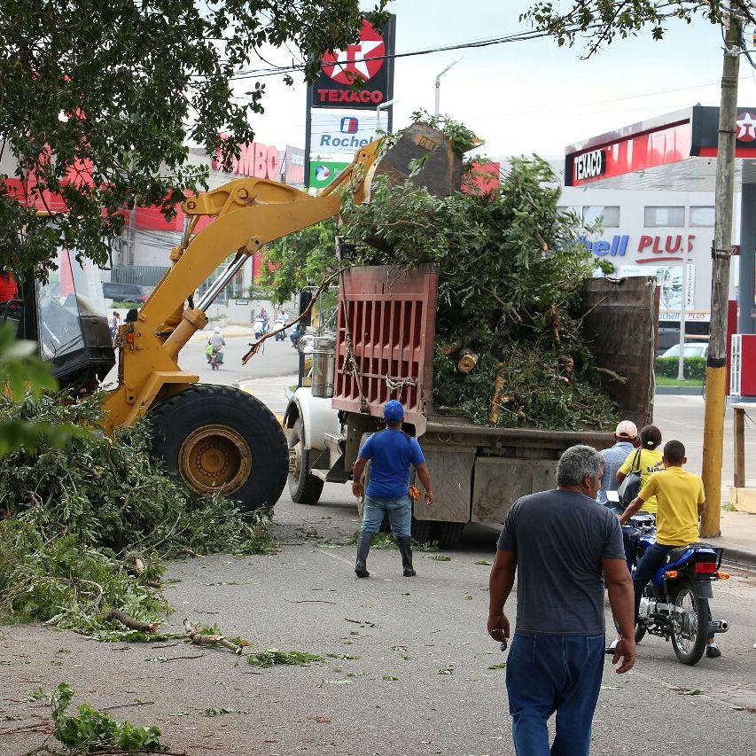 AlcaldiaHiguey's tweet photo. Las brigadas de Equipos Pesados y de Ornatos de la #AlcaldíaHigüey continuan los trabajos de limpieza y recogida de escombros. https://t.co/ozKVtV1eDp