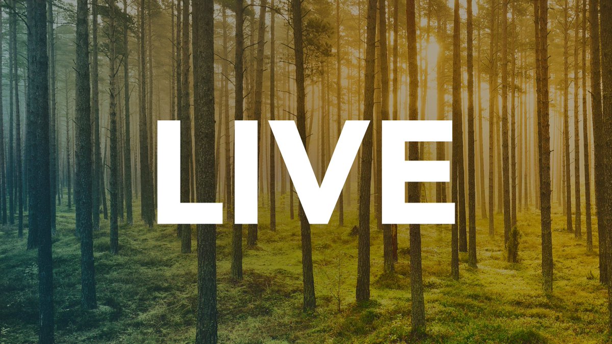 #RadiantTV is live now! ow.ly/c5W130fmgbu #Peaceful #Serene #Beautiful #God #Bible #Scripture #Scenery #Song #live