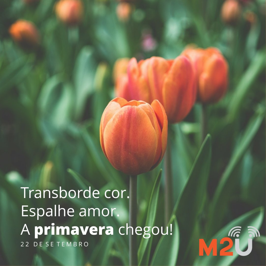 M2U on Twitter: M2U on Twitter: