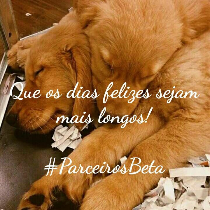 Boa tarde #ParceirosBeta