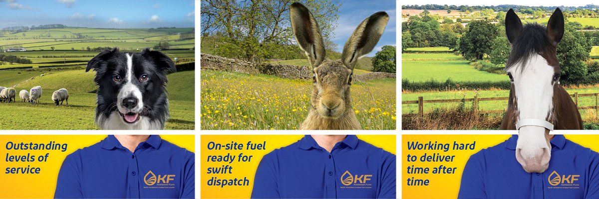 <a href="/nidderdaleshow/">Nidderdale Show</a> <a href="/GaryVerity/">Sir Gary Verity</a> @StrayFM @HARCVS <a href="/chris3554/">Nidderdale Shades</a> <a href="/HgateAdvertiser/">Harrogate Advertiser</a> <a href="/nidderdaleuk/">Pateley & Nidderdale</a> We are very proud to be one of the sponsors <a href="/nidderdaleshow/">Nidderdale Show</a>. Good luck to all those taking part.