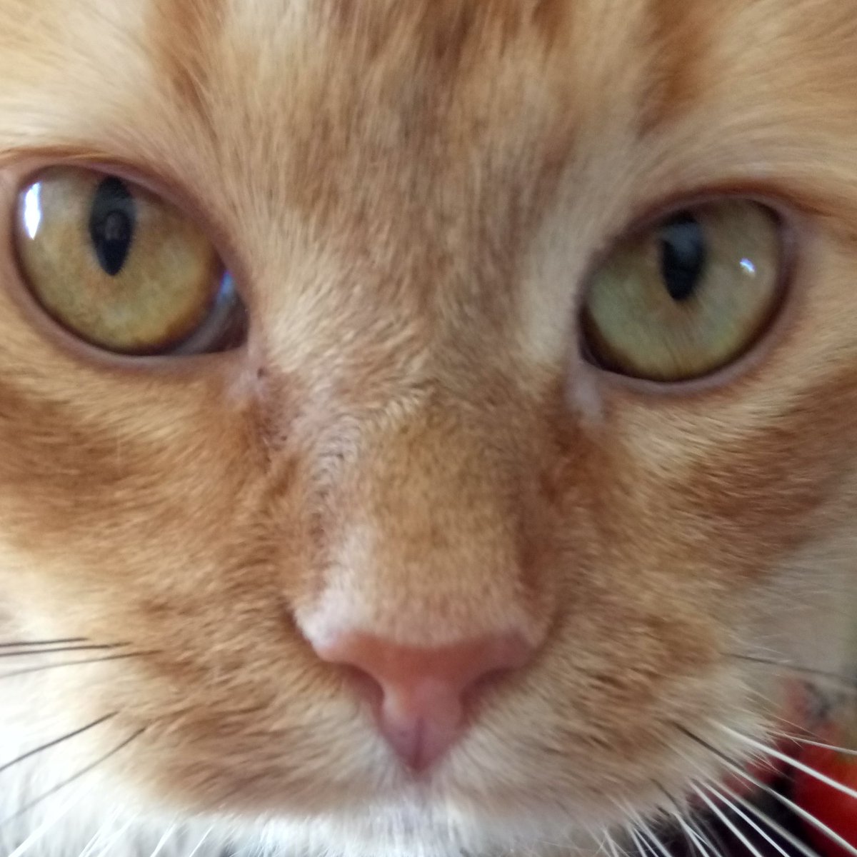 I am being watched :)