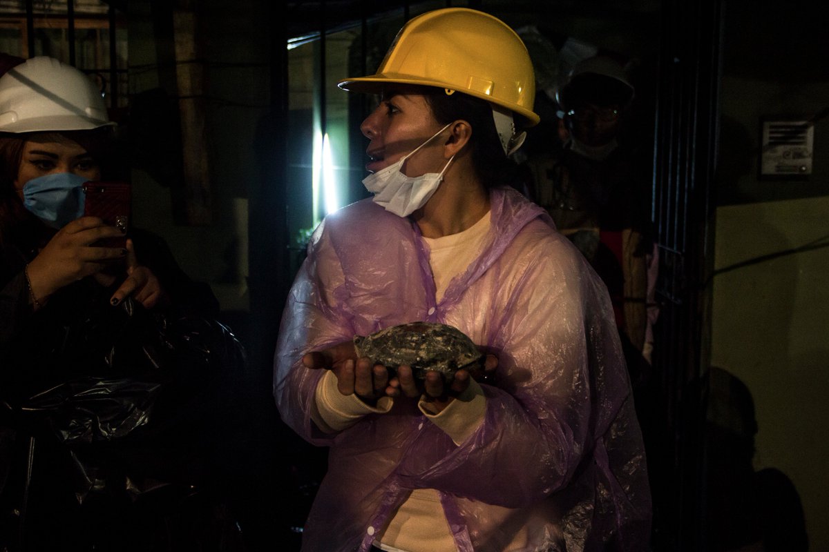 Taniaphoto3's tweet photo. Momento en que encuentran a una tortuga entre los escombros de Amsterdam esq. Laredo.(corregido)
#FuerzaMexico #AyudaMexico 
📷:@Taniaphoto3 https://t.co/ubFkCUrPC3