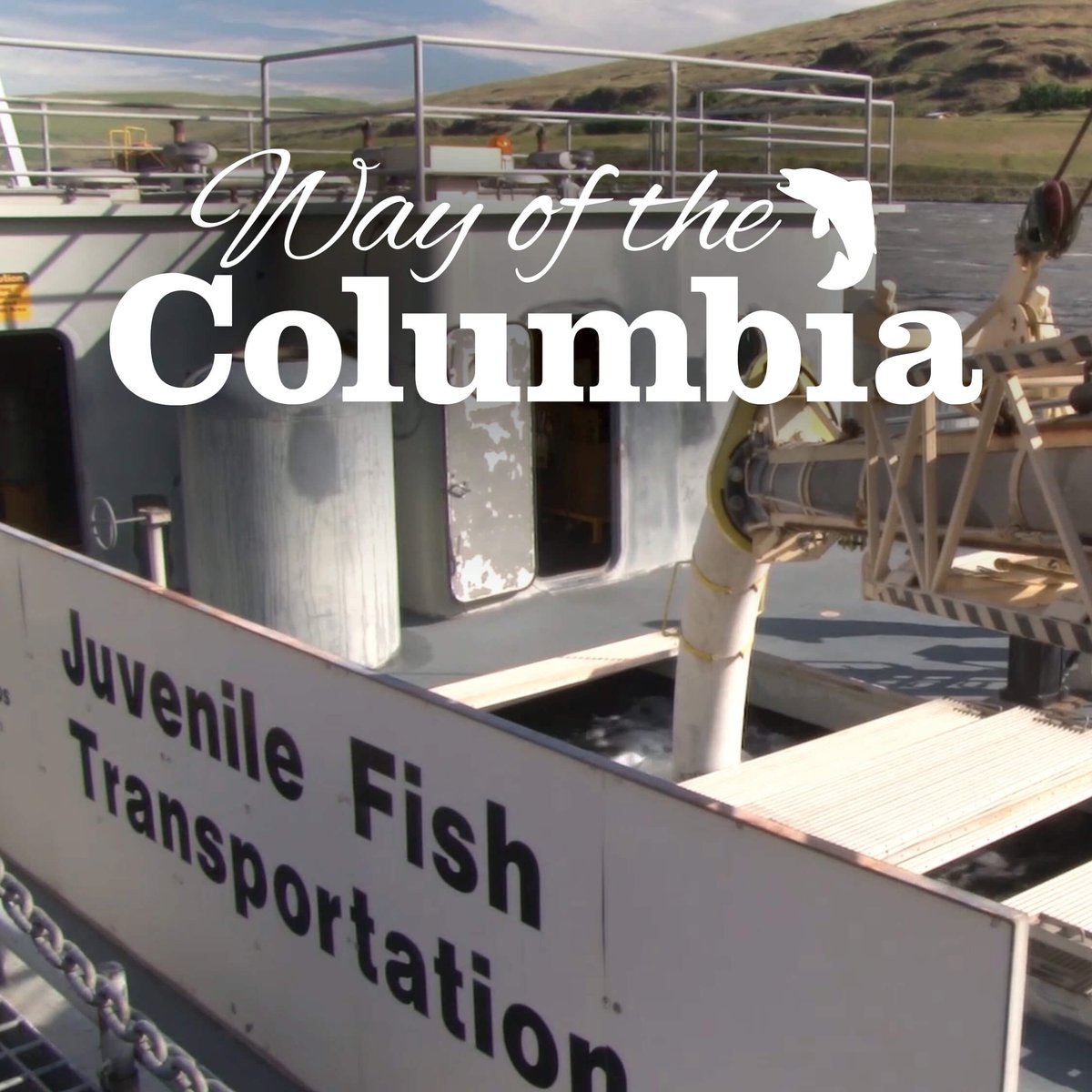CutBoardStudio's tweet photo. If you missed it the first time @KSPSPublicTV  is rerunning #WayoftheColumbia “Passing Through – Part One” This Saturday at 6:30 a.m. https://t.co/BjMJQOjK7r