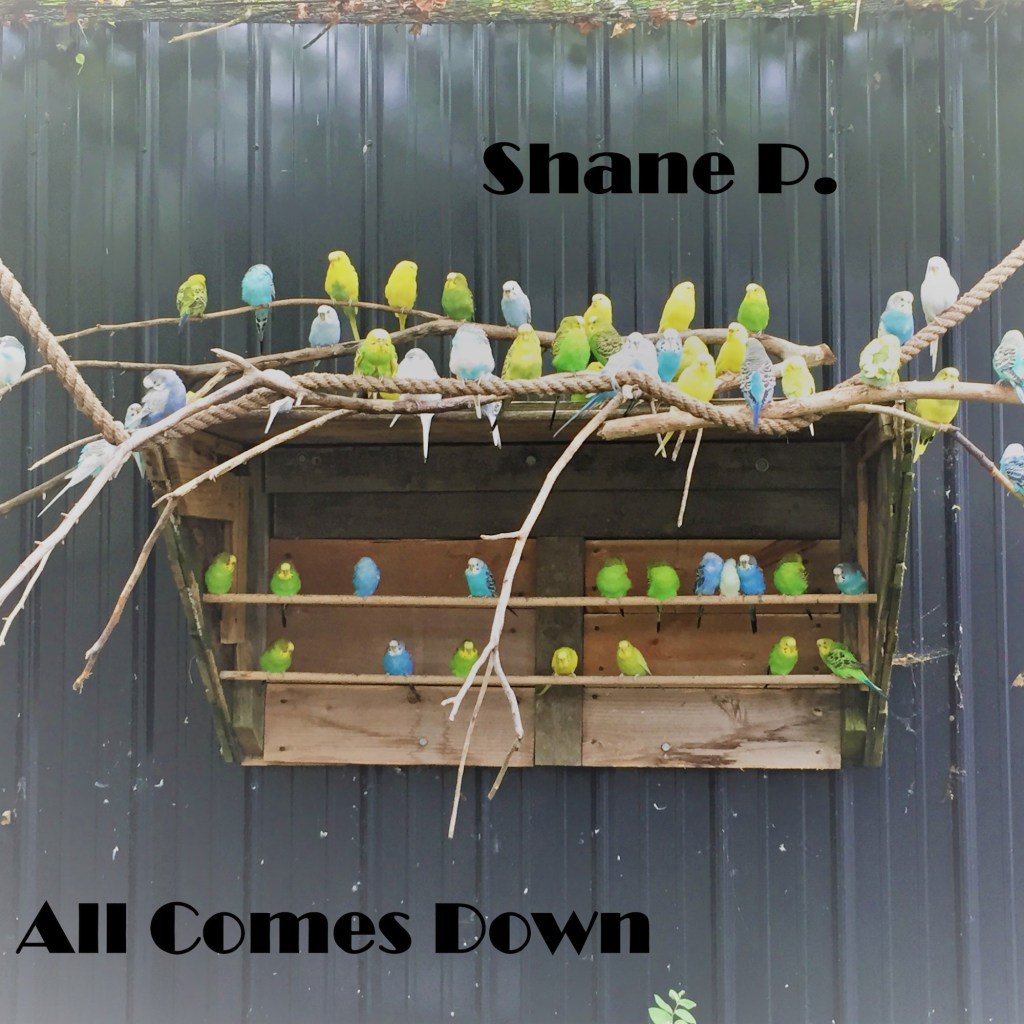 Smoothspin's tweet image. Shane P. – “All Comes Down” feat. Questionable Berry smoothspin.com/shane-p-comes-…