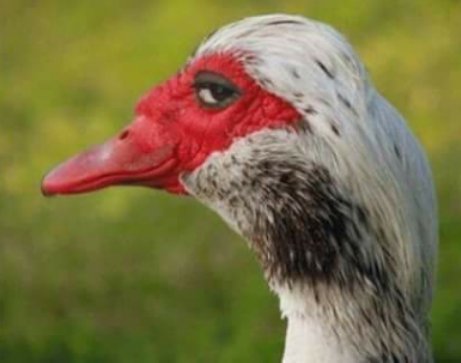 A_pluspapers's tweet image. When you know #Excellent Writers got yo back..#essay help #assignments #uni #homework #DM