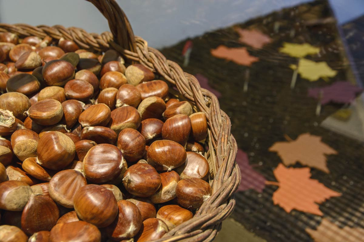 FidelRocaJoiers's tweet photo. Equinocci a Fidel Roca.
Feliç tardor!
#fidelroca #sabadell #originaldesign #castanyada #tardor #happyAutumn #happyfall #HappyFriday #TGIF https://t.co/TYMaTqAkqz