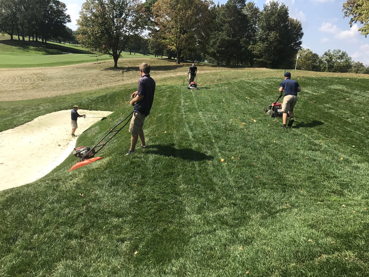 Boys making the virgin cut of our new Black Beauty Turf Type Tall Fescue green surrounds. #great effort #growing fast