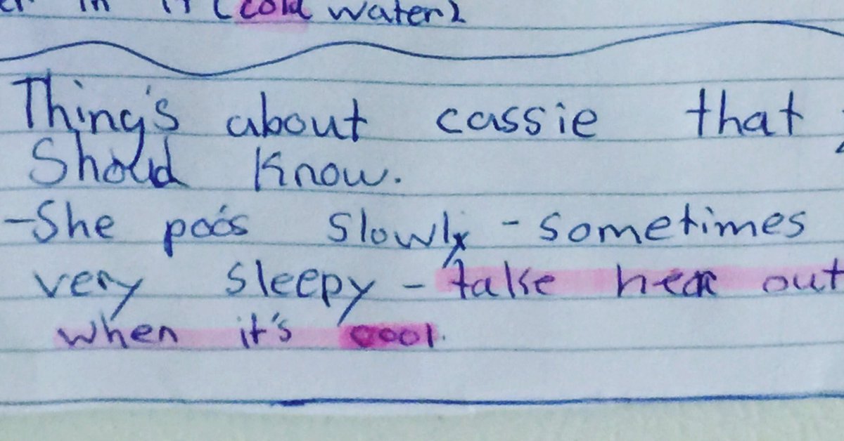 RealFionaO's tweet image. Minding my friend's dog for the weekend.....we've a lot in common #2bitches