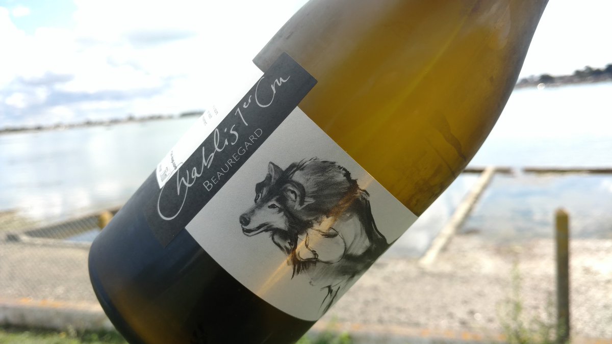 PeterJanVDamme's tweet photo. It was some time ago since a wine moved me that much, needs time to open, but astounding #chablis 1eCru beauregard from domaine pattes loup https://t.co/dgi0pf6NgR