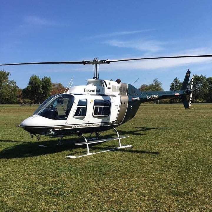 Brighton Applefest tweet media