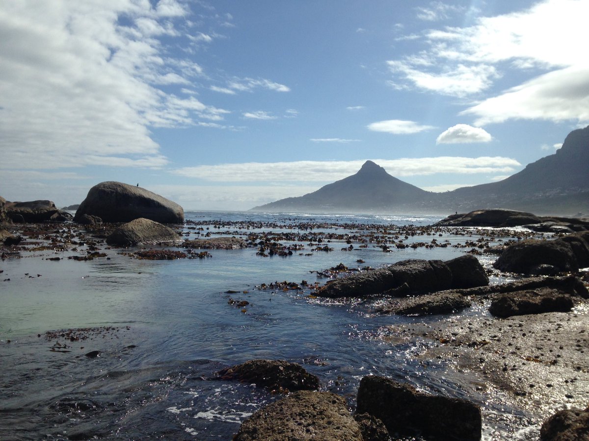 Helen Jenkins (@drhelenljenkins) on Twitter photo For my kelpy friends, kelp at Oudekraal, CT 🇿🇦. Miss you guys! <a href="/DanSmale1/">Dan Smale</a> <a href="/harryteagle1/">Harry Teagle</a> <a href="/pessa_3/">Albert Pessarrodona</a> <a href="/WakameWatch/">WakameWatch</a> For my kelpy friends, kelp at Oudekraal, CT 🇿🇦. Miss you guys! <a href="/DanSmale1/">Dan Smale</a> <a href="/harryteagle1/">Harry Teagle</a> <a href="/pessa_3/">Albert Pessarrodona</a> <a href="/WakameWatch/">WakameWatch</a>