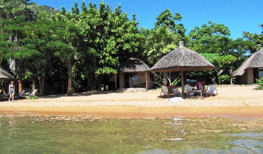 FOR ENQUIRY 
EMAIL ADDRESS :Waynebtoursandsafari@gmail.com 
Skype ID:Wayne B Eco tours 
Instagram:waynebeco 
Twitter:waynebtoursand1