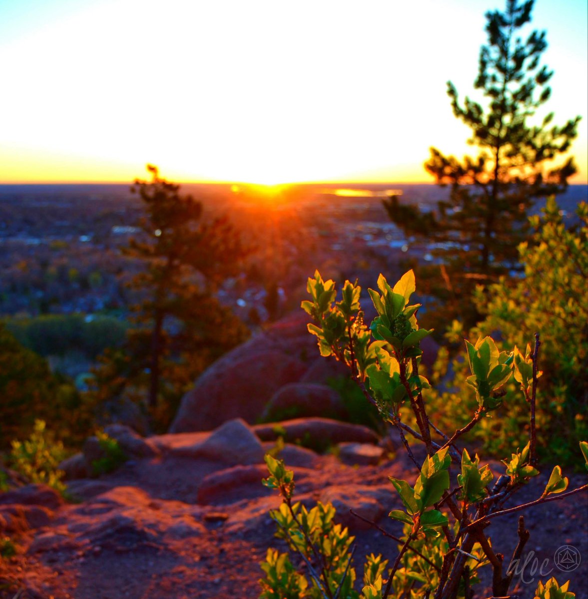 Happy First Day of Fall! Here’s to chilly evenings and hot coffees with friends 🍁🍂 #alifeofchoice #firstdayoffall #autumn