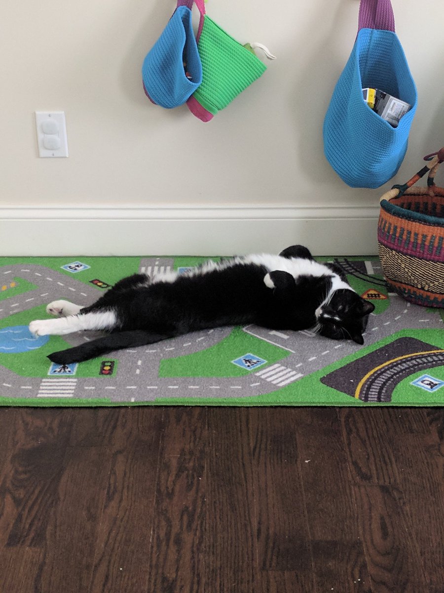 NScuola's tweet image. Lilypad is not enjoying my POC calls very much. #MyAssistant