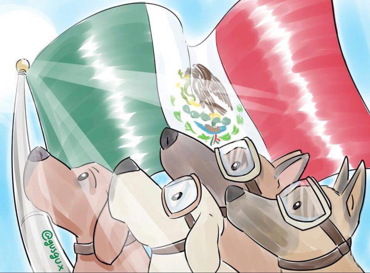 skrt_lat's tweet photo. Titán. Frida. Evil. Eco. ❤️🇲🇽🐶 https://t.co/oHnpWKsMuD