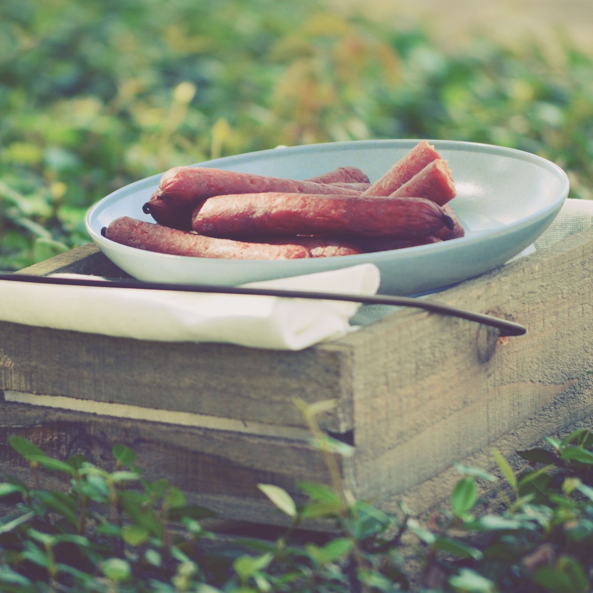 Blue ox jerky coupon