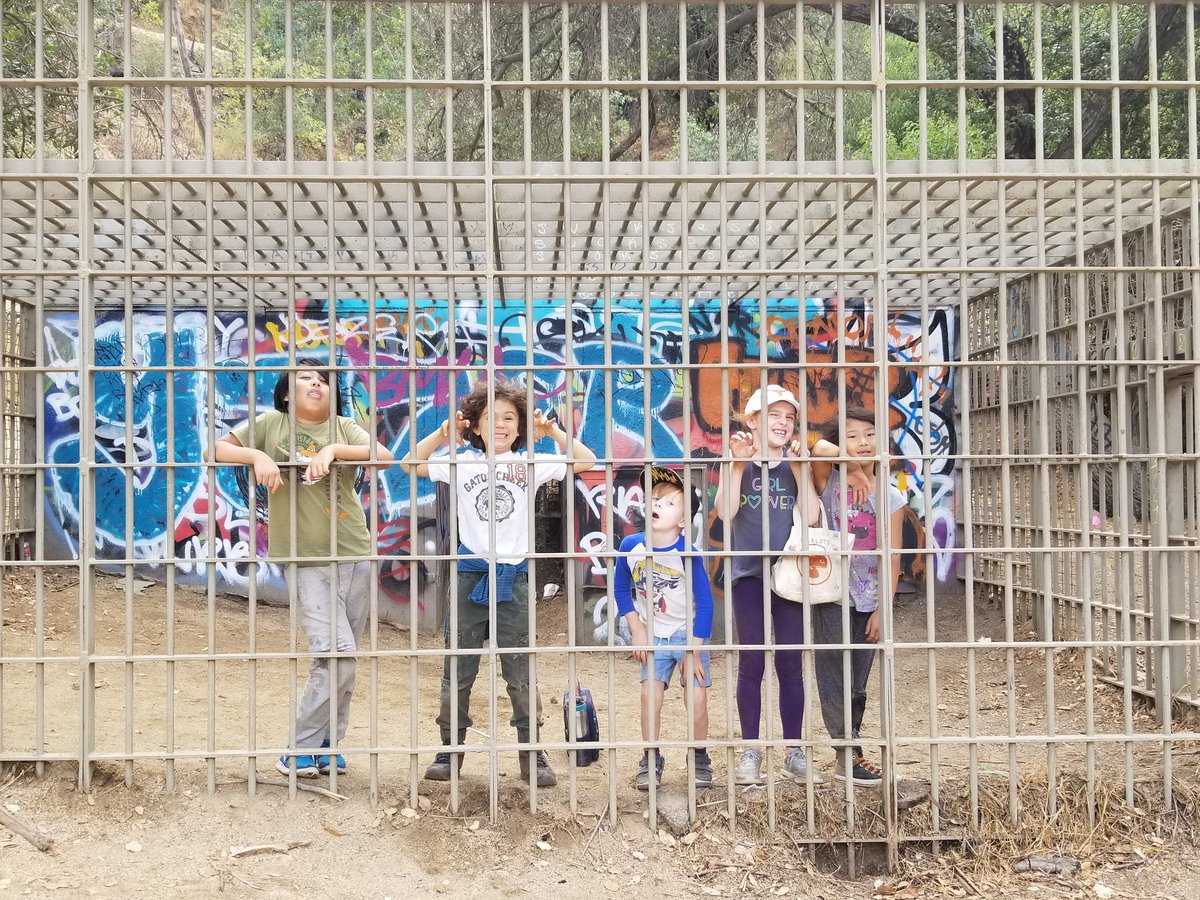 Hack_Poet's tweet image. Wild Kids Exhibit! ;)