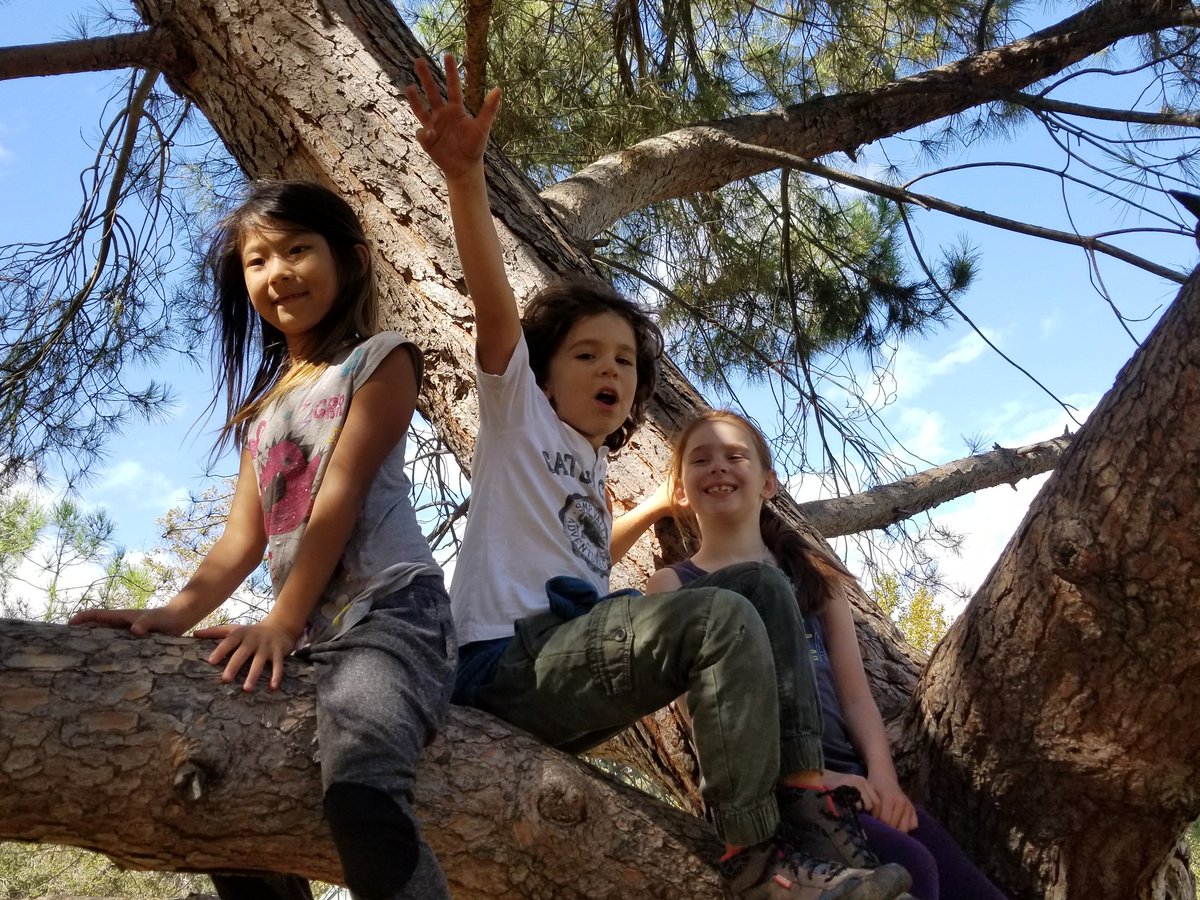 Hack_Poet's tweet image. Fall is here! AotW Griffith Park!