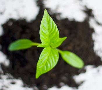 kompyte's tweet photo. How Growth Works — Part One (Hiten Shah, Wistia's Andrew Capland) https://t.co/QupghxlKjJ #GrowthhackingBasics #DigitalMarketingTips https://t.co/81kuG30hYn